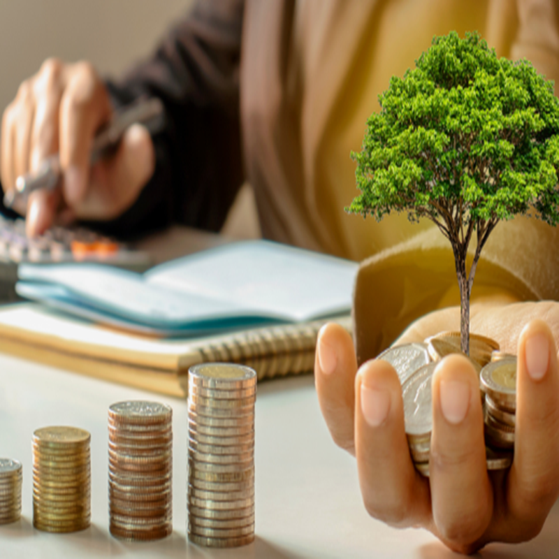 Best Investment Solutions